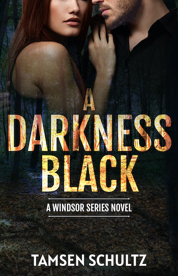A Darkness Black book cover